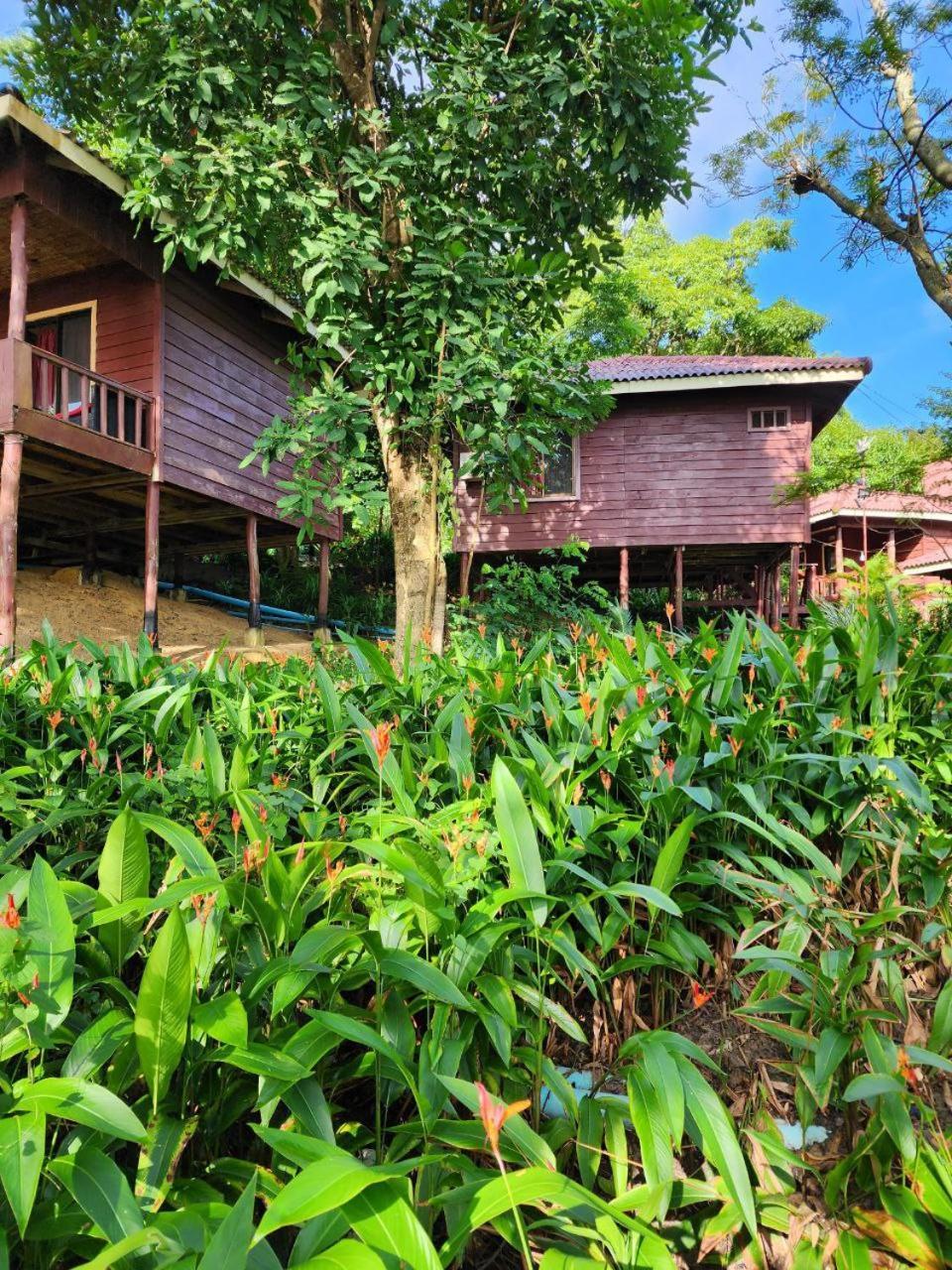 Sweet Jungle Bungalows Kaoh Touch المظهر الخارجي الصورة