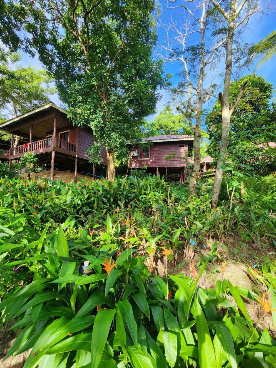 Sweet Jungle Bungalows Kaoh Touch المظهر الخارجي الصورة